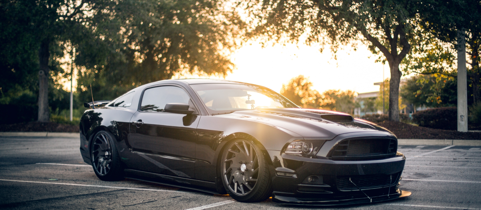 Custom Auto M